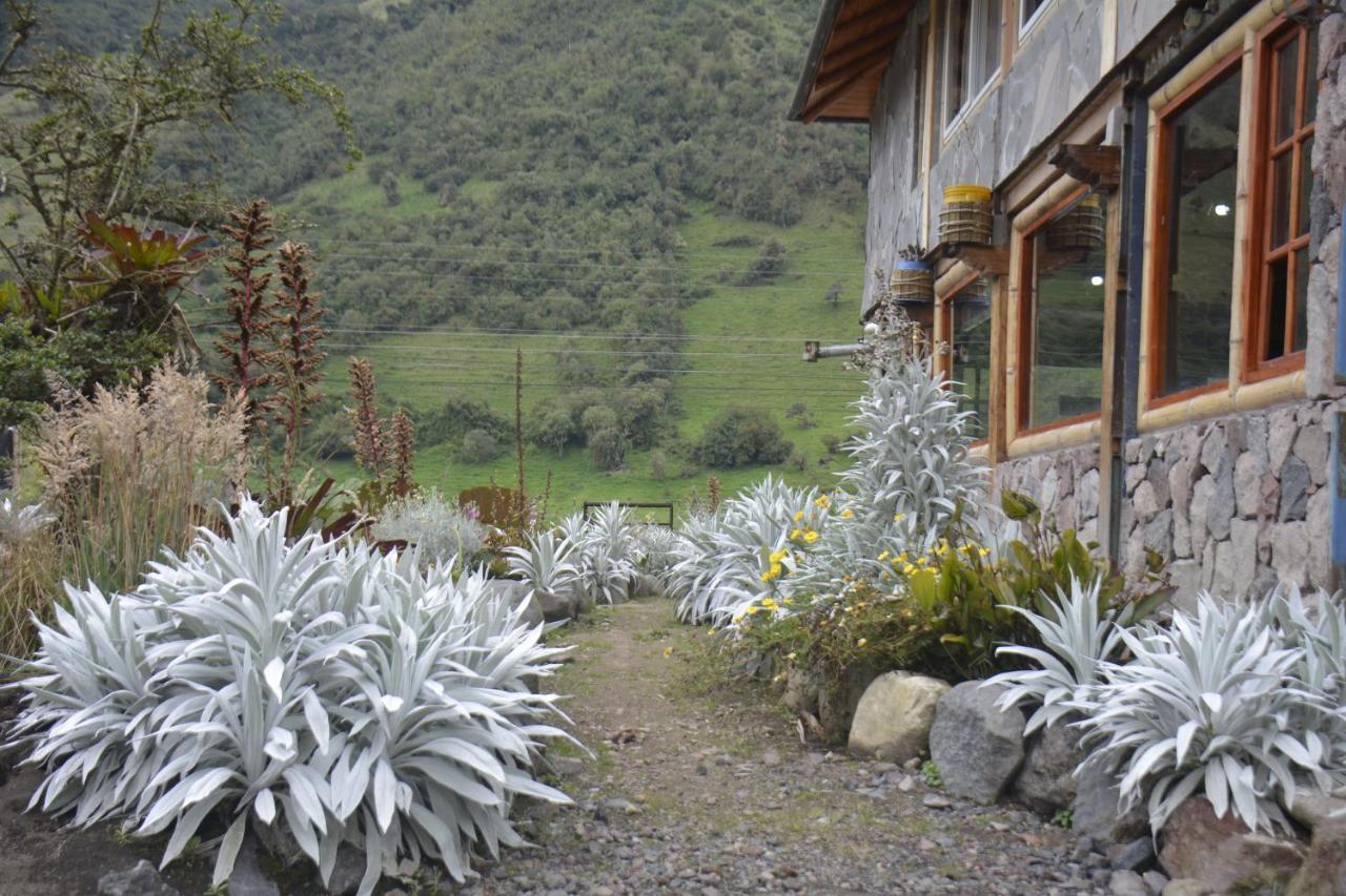 Sol De Piedra Hotel Papallacta Buitenkant foto